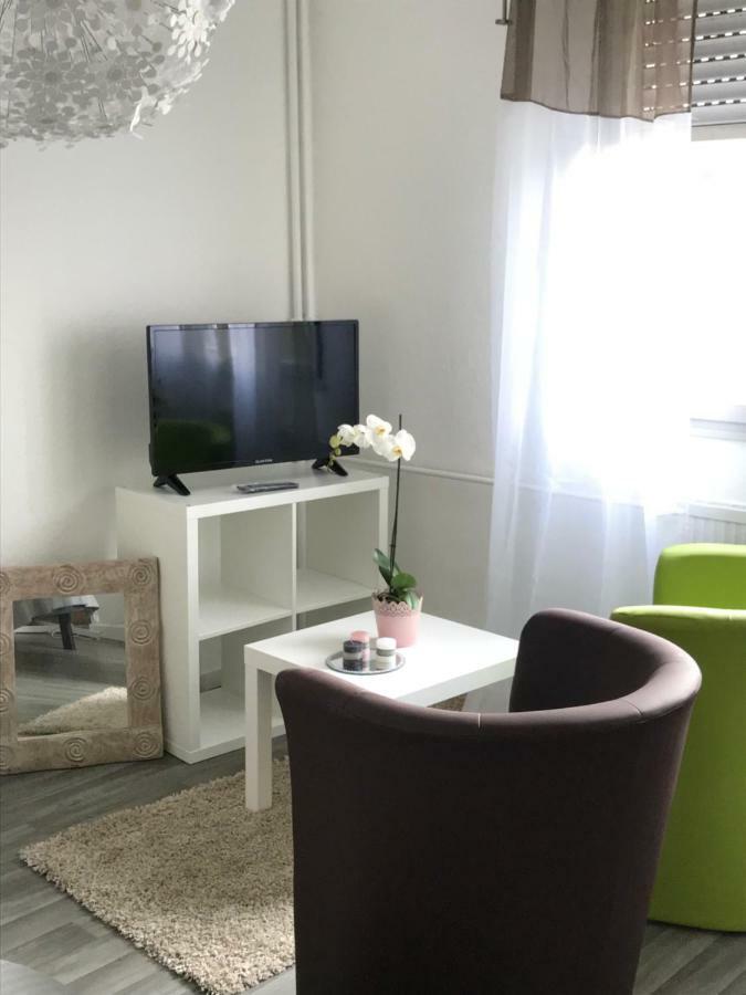 Studio 5 Near Basel Airport سا لووي المظهر الخارجي الصورة